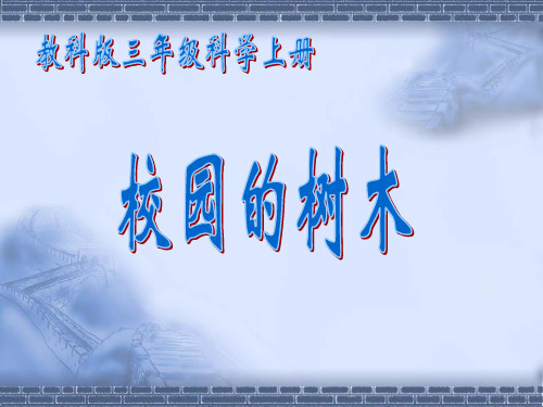 教科版科学三年级上册《校园的树木》教学课件