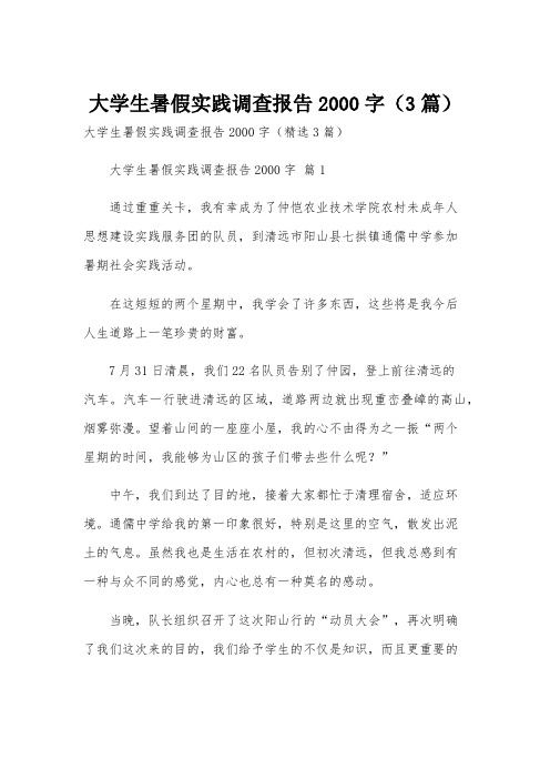 大学生暑假实践调查报告2000字(3篇)
