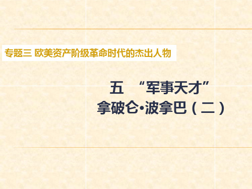 高中历史(人民版)选修4教学课件：专题三 五“军事天才”拿破仑·波拿巴(二)25张PPT)