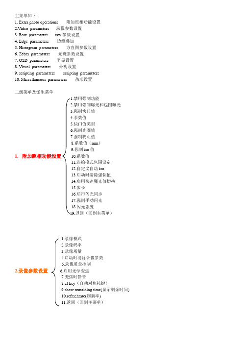 110CHDK菜单总汇