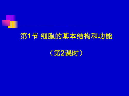 细胞的基本结构和功能2初中生物课件