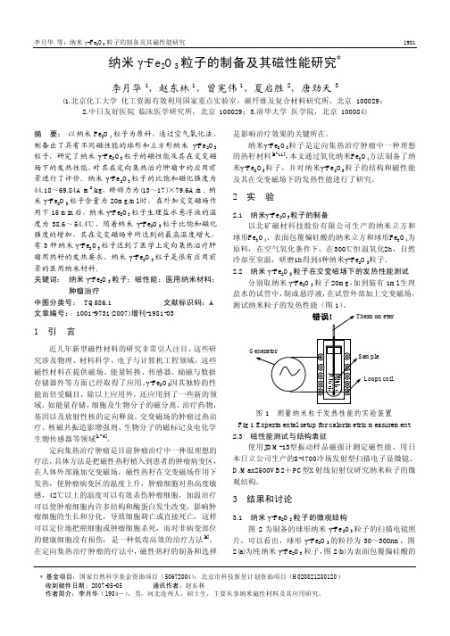 纳米γ-Fe2O3 粒子的制备及其磁性能研究