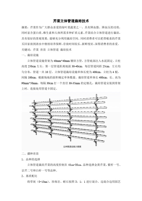 芹菜立体管道栽培技术