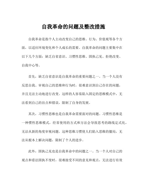 自我革命的问题及整改措施