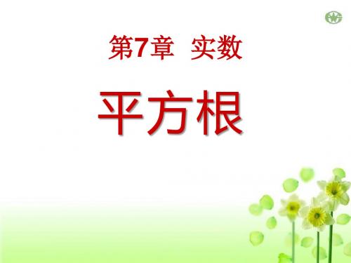 《平方根》PPT课件3