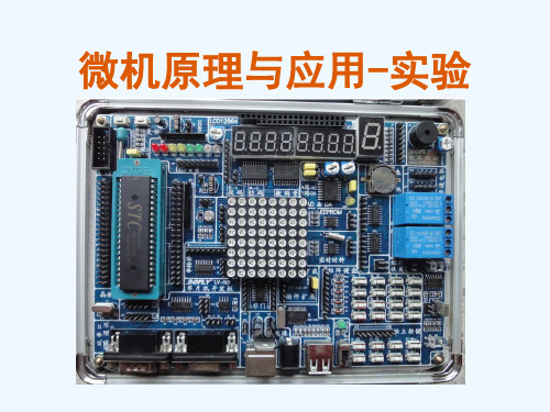 单片机实验1计数显示器