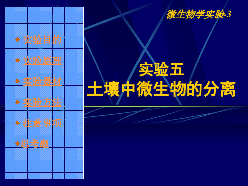 微生物学实验_3_土壤中微生物的分离