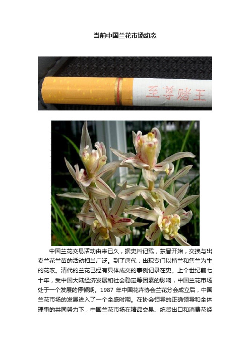 当前中国兰花市场动态