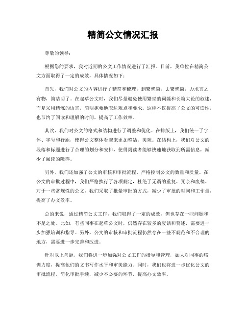 精简公文情况汇报