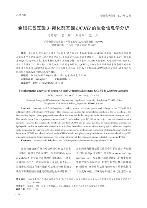 金银花香豆酸3-羟化酶基因LjC3H2的生物信息学分析