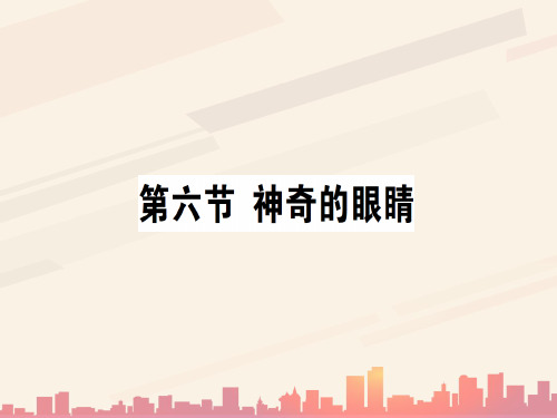 第四章 第六节 神奇的眼睛—2020秋沪科版八年级物理上册课堂学习课件