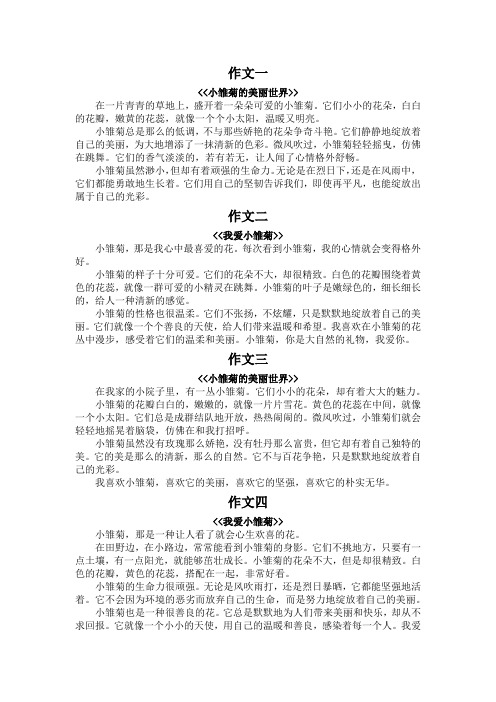 小邹菊的作文300字