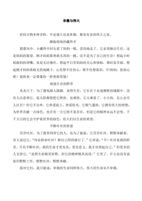 初中作文《卑微与伟大》