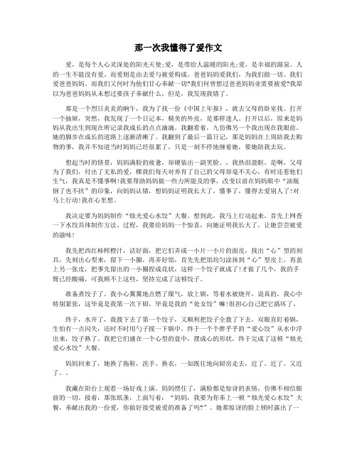 那一次我懂得了爱作文