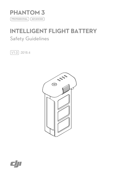 Intelligent_Flight_Battery_Safety_Guidelines_en