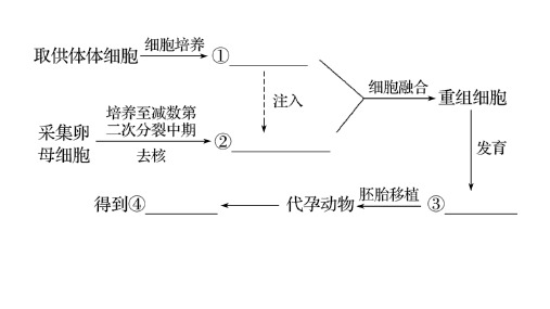 46.动物细胞融合与单克隆抗体—2021年高考生物一轮复习知识精讲课件