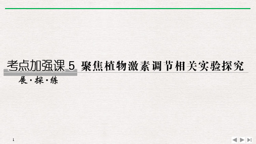 新高考2020生物选考总复习考点5 聚焦植物激素调节相关实验探究