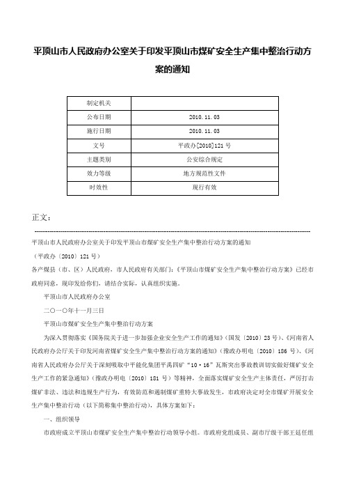 平顶山市人民政府办公室关于印发平顶山市煤矿安全生产集中整治行动方案的通知-平政办[2010]121号