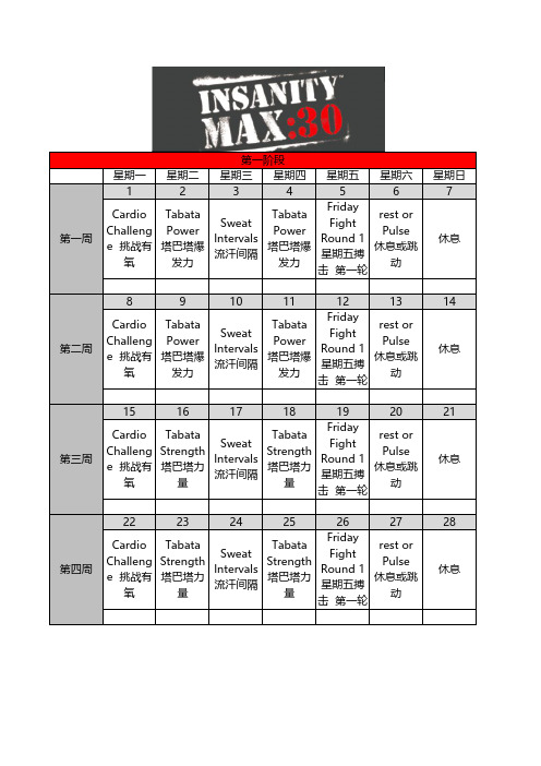 Insanity Max30 课表 第一阶段