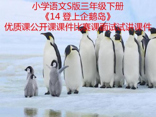 小学语文S版三年级下册《14 登上企鹅岛》优质课公开课课件比赛课面试试讲课件