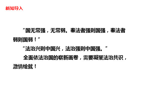 人教部编版道德与法治九年级上册4.2《凝聚法治共识》课件(共19张PPT)