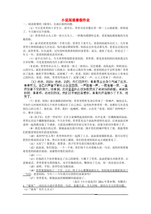 江苏省东台市唐洋镇中学八年级语文暑假作业 小说阅读(无答案) 苏教版