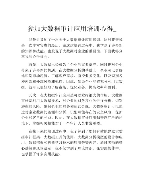 参加大数据审计应用培训心得_