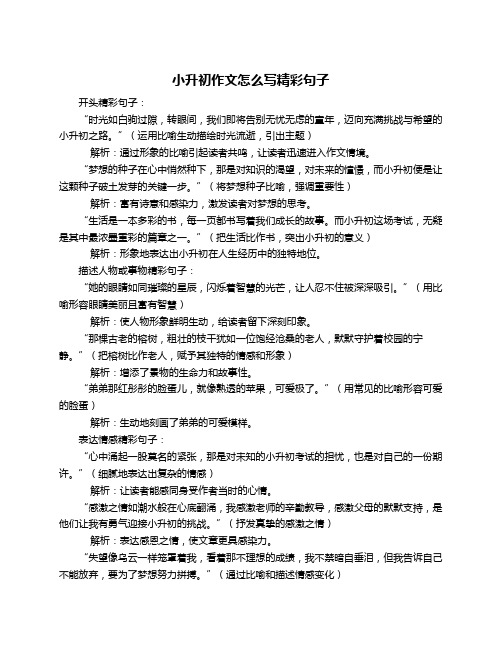 小升初作文怎么写精彩句子