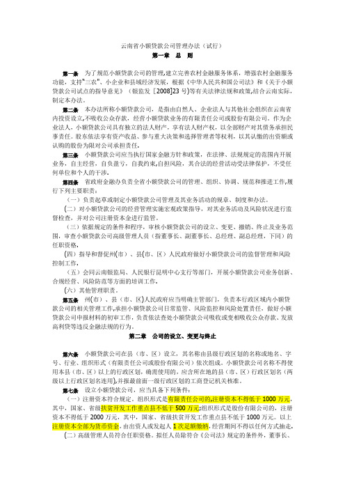 云南省小额贷款公司管理办法