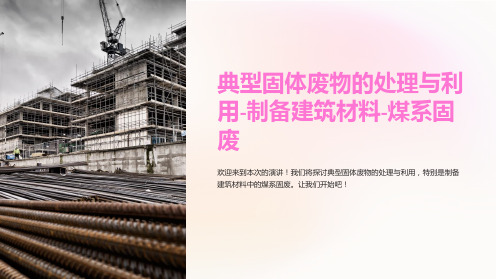 典型固体废物的处理与利用-制备建筑材料-煤系固废