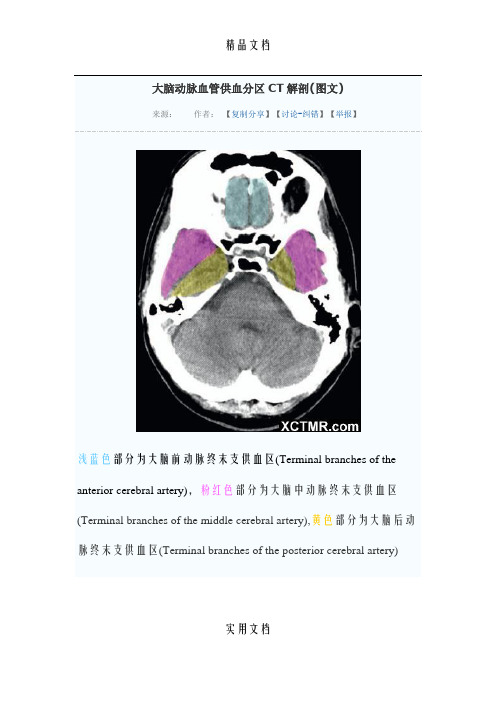 大脑动脉血管供血分区CT解剖(图文) (2)