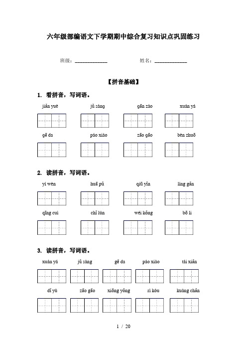 六年级部编语文下学期期中综合复习知识点巩固练习