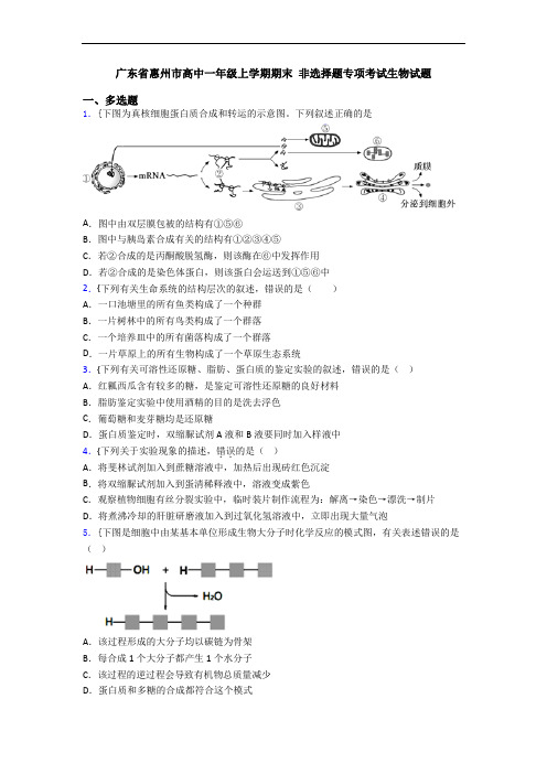 广东省惠州市高中一年级上学期期末 非选择题专项考试生物试题