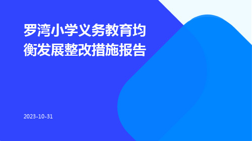 罗湾小学义务教育均衡发展整改措施报告