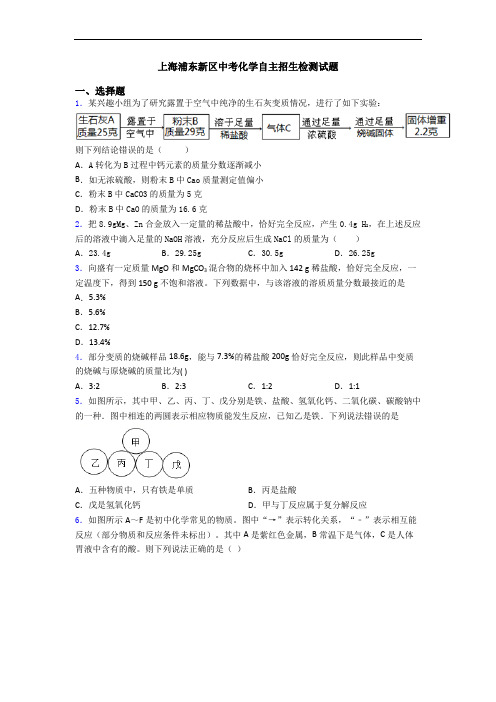 上海浦东新区中考化学自主招生检测试题