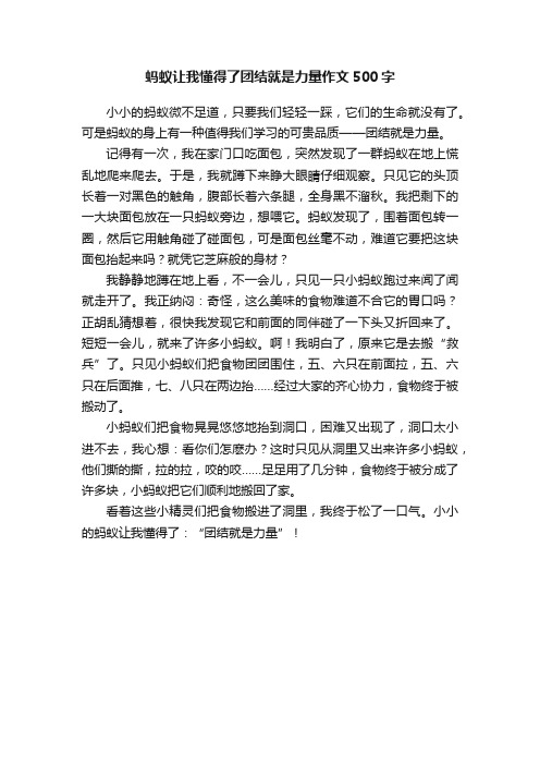 蚂蚁让我懂得了团结就是力量作文500字