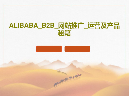 ALIBABA_B2B_网站推广_运营及产品秘籍共55页