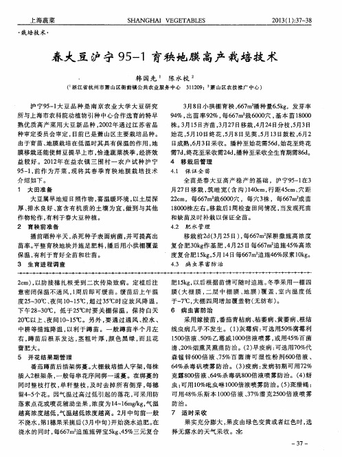 春大豆沪宁95-1育秧地膜高产栽培技术