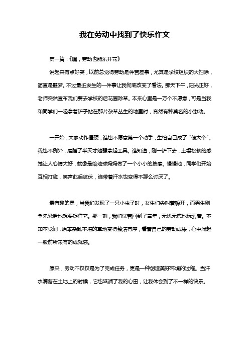 我在劳动中找到了快乐作文