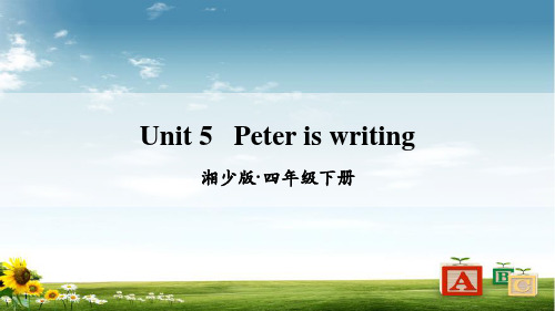 湘少版四年级英语下册Unit 5 Peter is writing