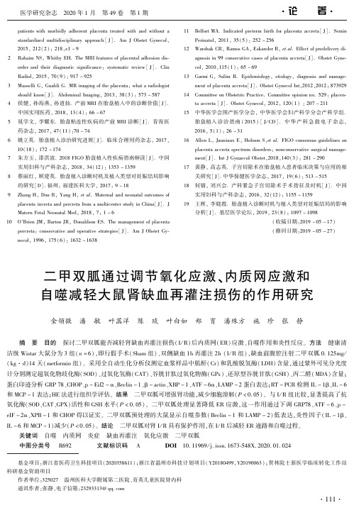 二甲双胍通过调节氧化应激、内质网应激和自噬减轻大鼠肾缺血再灌