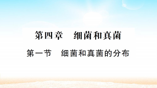 人教版八年级生物上册 第5单元  第四章 第一节 细菌和真菌的分布