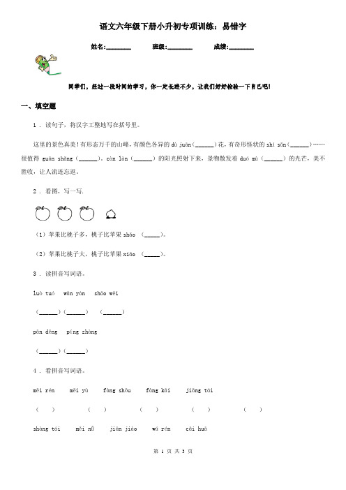 语文六年级下册小升初专项训练:易错字