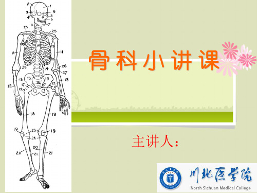 骨科小讲课 ppt课件