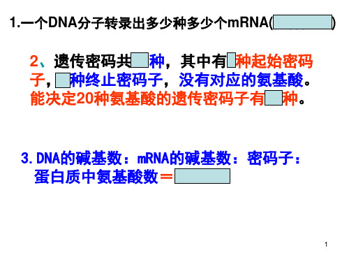 4.2基因对性状的控制(共21张PPT)