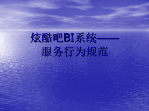 酒吧BI系统