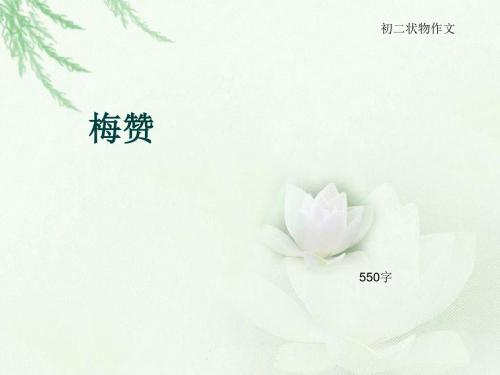 初二状物作文《梅赞》550字(总9页PPT)