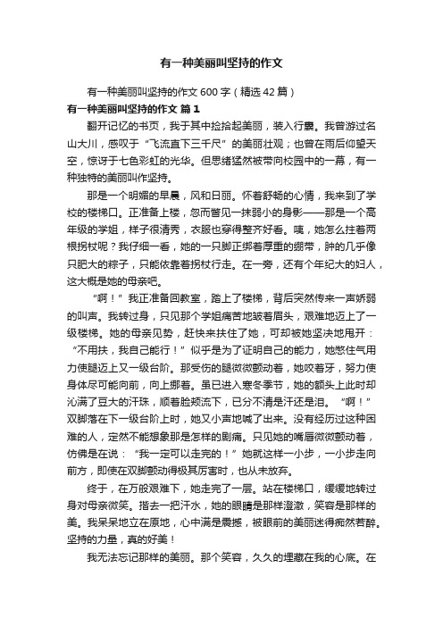 有一种美丽叫坚持的作文600字（精选42篇）