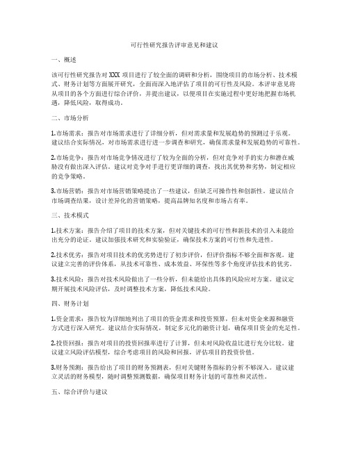 可行性研究报告评审意见和建议