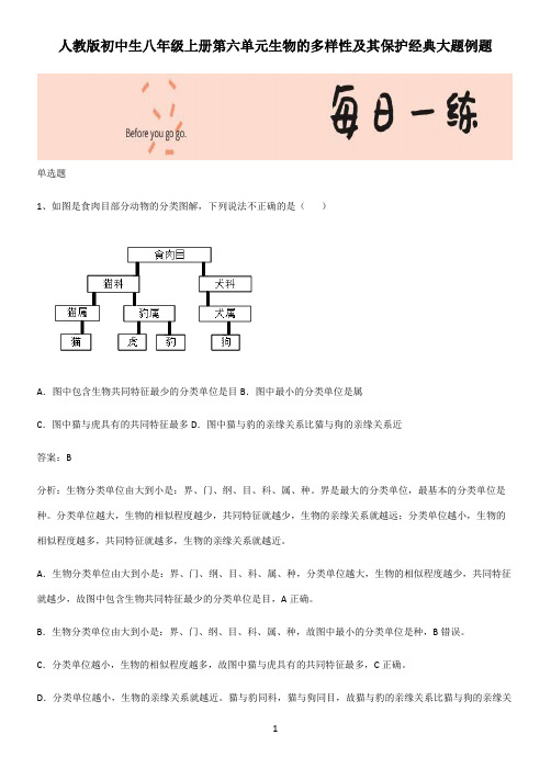 人教版初中生八年级上册第六单元生物的多样性及其保护经典大题例题